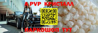 стаф Можга