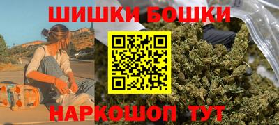 стаф Можга